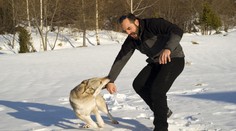 Žiadna zmena. Za bezdôvodné napadnutie psom majiteľ trest nedostane