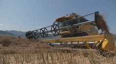 Ceny extrémne vystrelili, potraviny budú drahšie. Farmári oznámili, kedy to zasiahne Slovákov