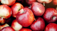 Obľúbené ovocie Slovákov nemusí byť také zdravé, ako sa zdá. Ukrýva vraj kokteil pesticídov a chemikálií