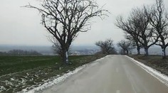 Cestu do Malých Ripnian lemujú desiatky hákových krížov