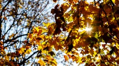 Pripravte sa na extrémne vysoké teploty. Budú až 10 °C nad normálnymi hodnotami na Slovensku