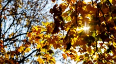 Pripravte sa na extrémne vysoké teploty. Budú až 10 °C nad normálnymi hodnotami na Slovensku