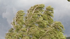V týchto oblastiach udrie silný vietor. Niekde hrozí aj víchrica