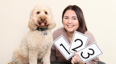 Ako človek v psom tele: Najinteligentnejší pes Británie dokáže hláskovať, aj rátať od 1 do 10