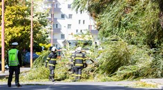 Mortimer už slabne. Na svedomí má však tri obete