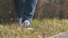 V prírode buďte ostražití. Hoci zima ešte neskončila, sezóna kliešťov už je tu