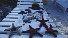 Lákavé suveníry, ktoré si z dovolenky radšej nenoste. Za niektoré hrozí pokuta či dokonca väzenie