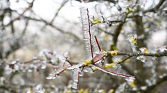 Na Slovensko sa valí prudká zima. Zažijeme mimoriadny pokles teplôt, pozor na veľký mráz