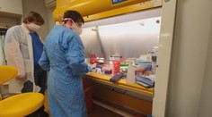 V Amerike ožila hrozba detskej obrny. Zaočkovanosť pre odmietanie vakcíny klesá