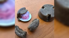 Pozor pri prechádzkach na Slovensku. Rozhadzujú sa návnady, ktorých sa netreba dotýkať