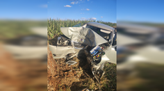 Tragédia na ceste medzi Šoporňou a Šintavou. Vodič neprežil silný náraz do stromu