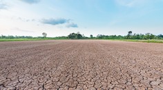 Fenomén El Nino sa vracia v plnej sile. Európu podľa všetkého zasiahnu najextrémnejšie teploty v histórii