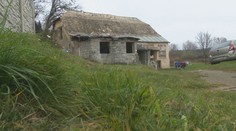 Psa im zastrelili priamo pri rodinnom dome. Starosta nato zavolal veterinára, na krku už majú trestné oznámenie