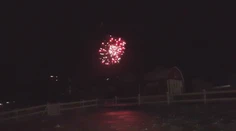 Ohňostroje si niektorí neodpustili ani v národných parkoch. Lesnú zver to môže aj zabiť