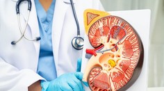 Na Slovensku pribúda rakovina obličiek. Pacienti si všimnú jeden varovný príznak