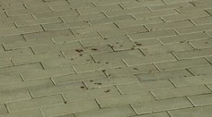 Tragédia pri Piešťanoch. Otec vrazil jedinému synovi nôž do hrude