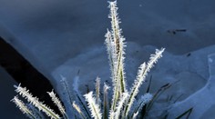 Sobotné skoré ráno bolo najchladnejšie od polovice mája. Najmä v jednej obci