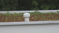 Ukazujú, že aj školy môžu bojovať proti suchu moderne a efektívne. Michalovce investujú do zelenej budúcnosti