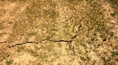 Pôda je takmer bez vlahy. Extrémne sucho postihuje väčšinu Slovenska