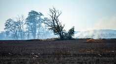 Hasičom sa podarilo zlikvidovať požiar poľa pri bratislavskom letisku