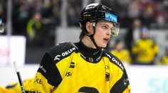 VIDEO: Slovenský reprezentant sa čoskoro stane otcom. Pohlavie dieťaťa odhalil hokejovým spôsobom