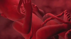 Matka má tri možnosti, ako naložiť s pupočníkovou krvou po pôrode. Čo odporúčajú odborníci?