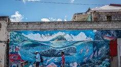 Karibský ostrov Dominika vytvorí prvú prírodnú rezerváciu pre ohrozené vorvane