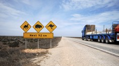 Čierny pasažier ukrytý v podvozku sa poriadne prerátal. Kamión mal stále zelenú, zastavil sa až po 400 kilometroch