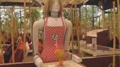 Ľudia majú vážnu konkurenciu, čašníkov a sprievodcov nahrádzajú humanoidi