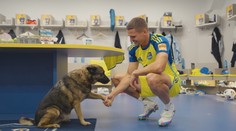 Každý futbalový divák pomáhal: Niké liga podporila útulky po celom Slovensku