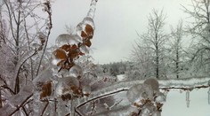 Kanadou sa prehnala zimná búrka. Krajinu zmenila na „ľadové kráľovstvo"
