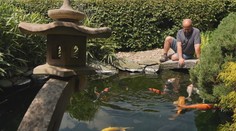 Záhrada, ktorá odháňa zlé sily: Marek si priniesol kus Japonska domov