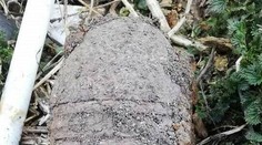 Muž z Vyšného Hrabovca našiel za domom muníciu z druhej svetovej vojny