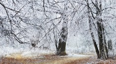 Cez víkend sa počasie poriadne zhorší