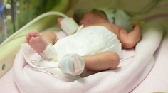 Viete prečo sa najviac detí rodí v septembri? Tu je odpoveď