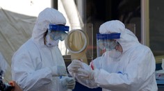 V USA potvrdili prvý prípad koronavírusu u voľne žijúceho zvieraťa