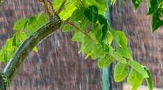 Extrémne počasie na obzore: Slovensko zasiahnu búrky aj tropické horúčavy