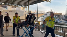 Výskumný ponor sa mu takmer stal osudným. Na biológa zaútočil žralok, vážne ho zranil na hlave a ruke