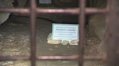 Žiaden vzácny chrobák tam nie je. Podivne zavretú Zbojnícku jaskyňu už môže verejnosť opäť navštevovať