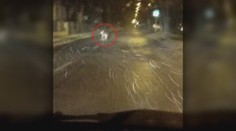 Túlavý vlk z Tatier je už v Poprade. Polícia vyzýva k ostražitosti