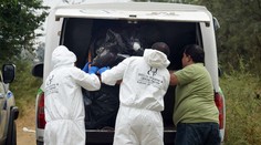 Mexického novinára zastrelili na synovej vianočnej párty