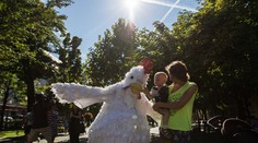 Kurča Rose konečne dorazilo na Slovensko