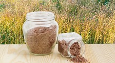 Dr. Bukovský sa zameral na sezamové semienka. Jeho rady sú prekvapivé