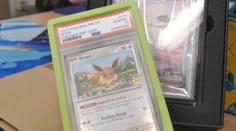 V Bratislave miznú Pokémon kartičky za tisíce eur. Polícia rieši už osem prípadov