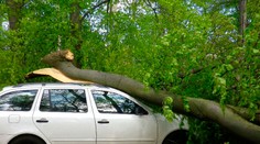 Na Jankovom vŕšku spadol na auto strom