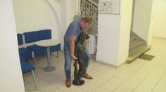 Bizarnejšia krádež sa často nevidí: Čech prešiel s lupom za dva dni iba 200 metrov