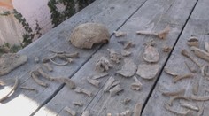 Kopali kanalizáciu, v hline našli viacero ľudských kostí