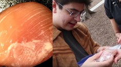 Bielych prúžkov na kuracom mäse pribúda. Tu je dôvod