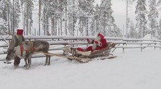 Tí, čo veria v Santu, sa naňho môžu tešiť. V Laponsku už štartuje svoje soby