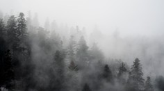 Zamračené počasie pokračuje. Do Vianoc veľké zmeny nečakajte